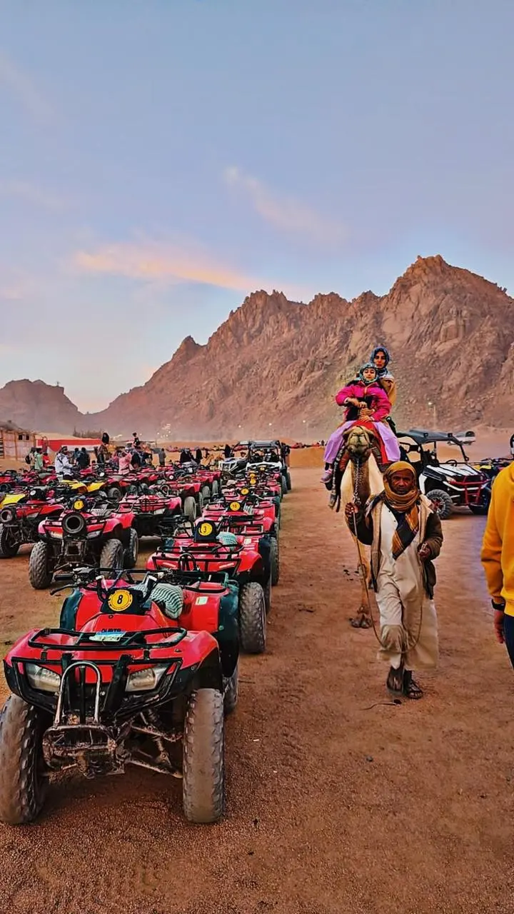 Desert Safaris